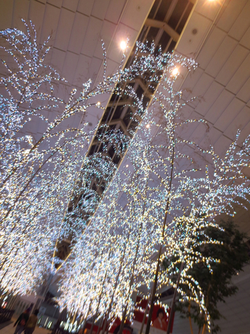 イルミネーション 羽田空港国際線ターミナル 13 Serenity Blue