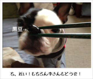f0168374_175237.png