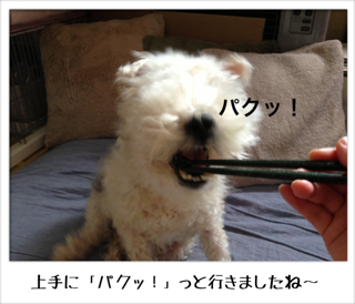 f0168374_175963.png