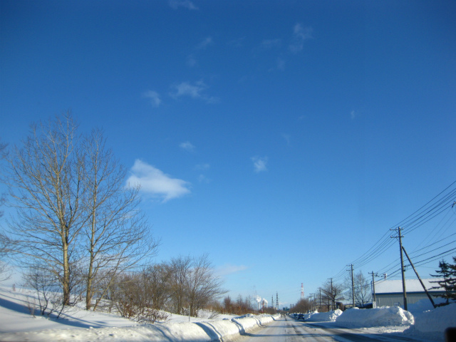 b0003280_2318452.jpg