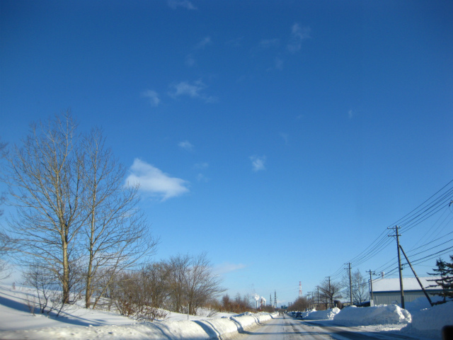 今年も大雪だ～_b0003280_2318452.jpg