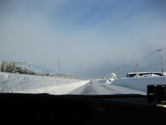 今年も大雪だ～_b0003280_23201917.jpg