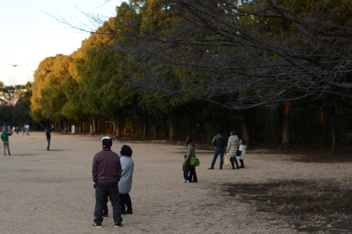 正月・公園・夕景_b0194880_22292723.jpg