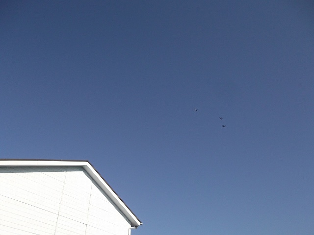 c0212083_22351116.jpg