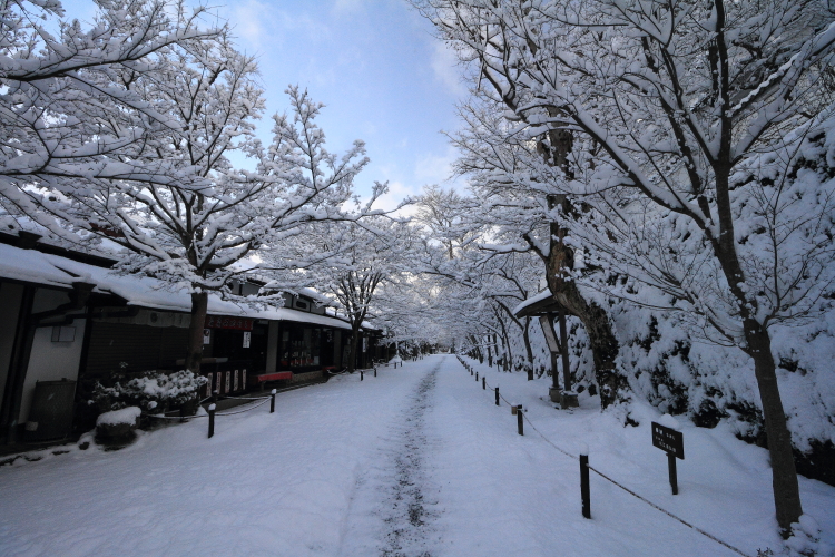 三千院_e0051888_21561937.jpg