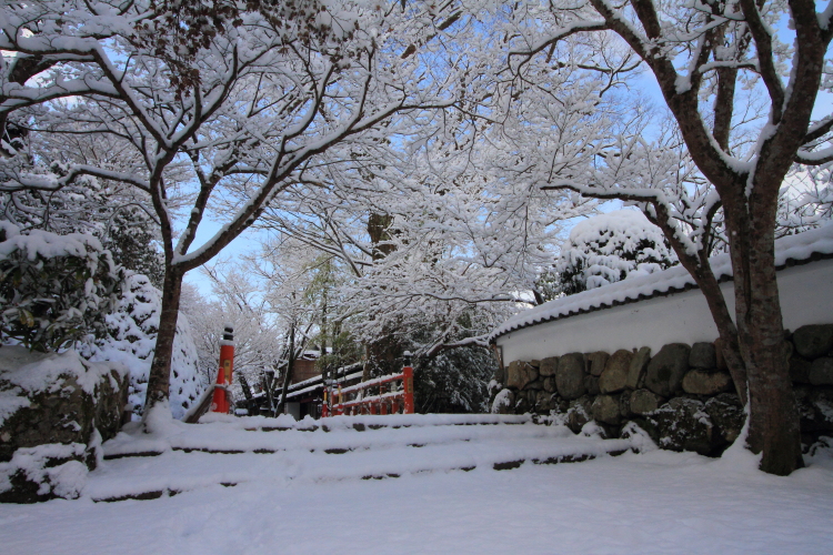 三千院_e0051888_21565671.jpg