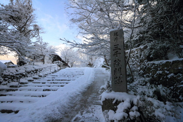三千院_e0051888_2156945.jpg