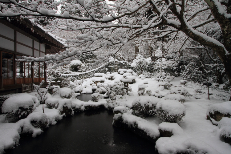 三千院_e0051888_21582870.jpg