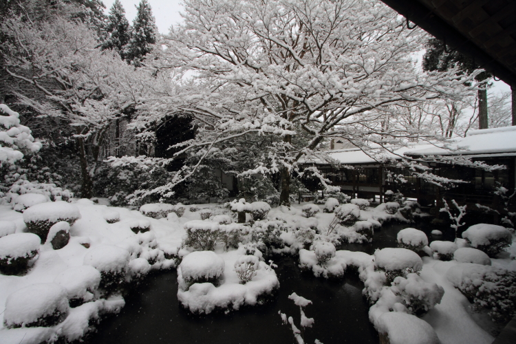 三千院_e0051888_21595211.jpg