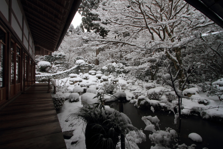 三千院_e0051888_2159812.jpg