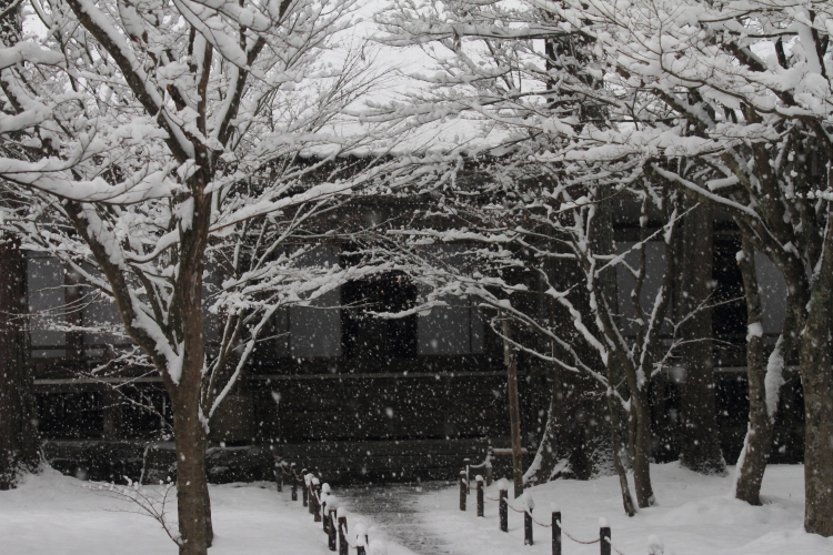 三千院_e0051888_2214432.jpg