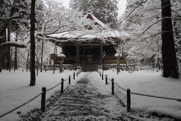 三千院_e0051888_2221652.jpg