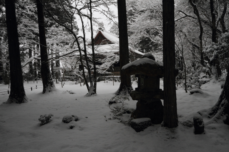 三千院_e0051888_2223141.jpg