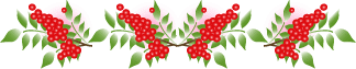 b0286989_22345586.gif