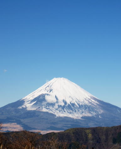 f0153497_10203262.jpg