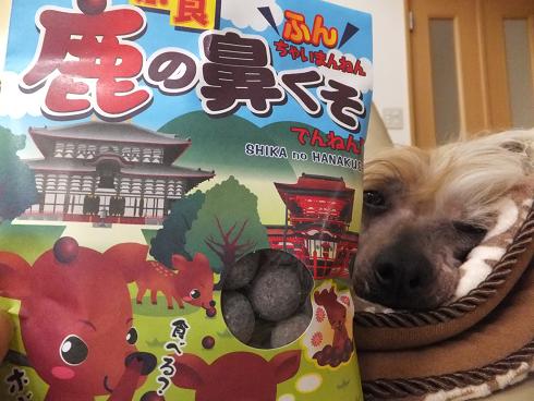 ふんふんふん 鹿のふん 毎日笑顔 チャイクレｎｕｋｕ ｐｅａｒｌ Claire
