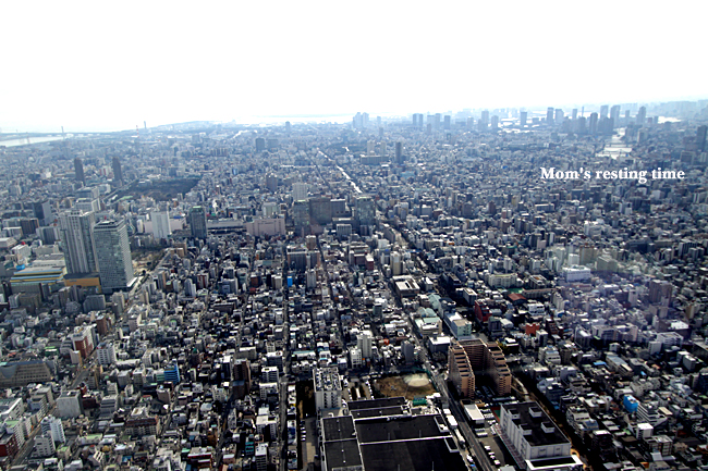 d0157704_20465025.jpg