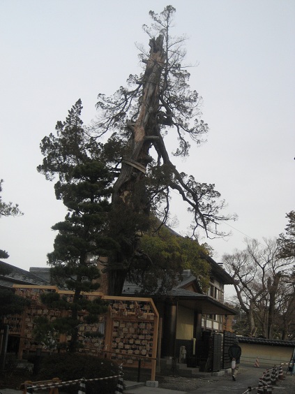 初詣　善光寺・松本城_d0009105_031135.jpg