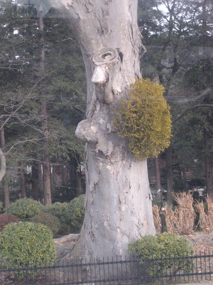 d0009105_05487.jpg