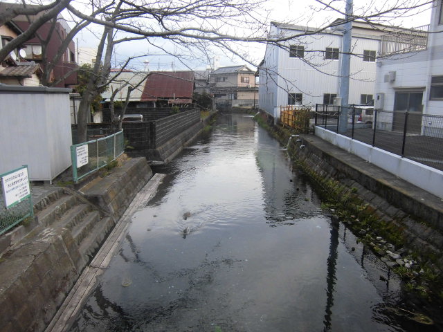 f0141310_754571.jpg