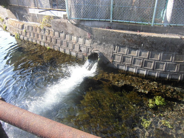 f0141310_7555816.jpg
