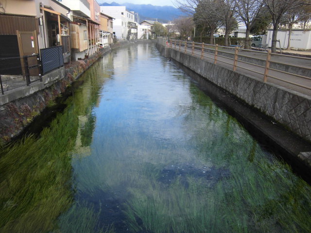 f0141310_7562777.jpg