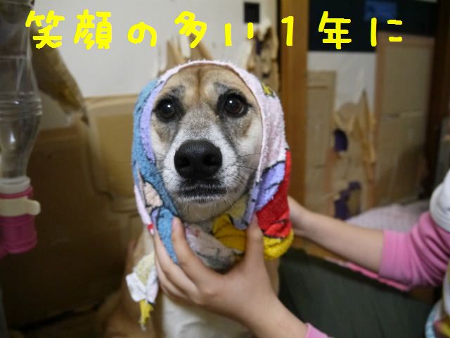 f0218911_123042.jpg