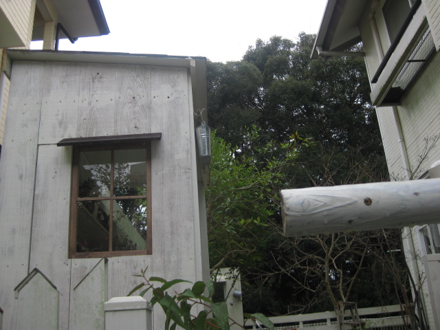c0085916_1131412.jpg
