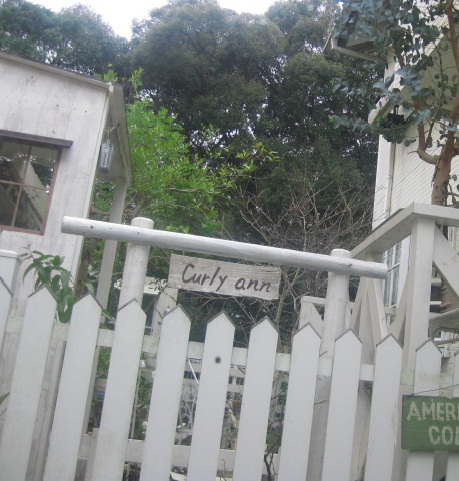 c0085916_1183923.jpg