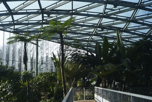 植物園の写真について_b0212922_1610292.jpg
