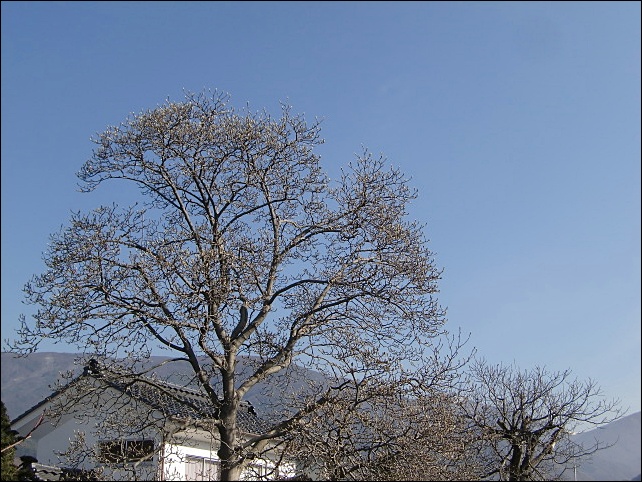 e0234924_17212325.jpg