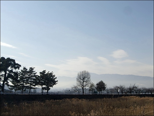 e0234924_1724932.jpg