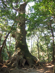 c0188928_2247204.jpg