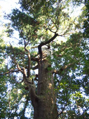 c0188928_2248375.jpg