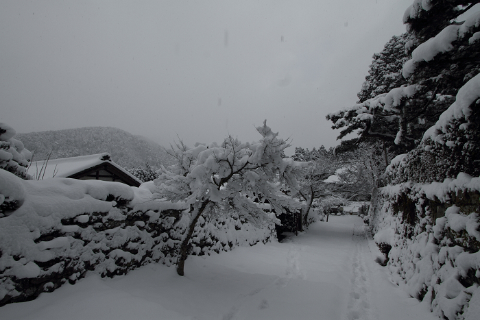 大原雪景色 －三千院（前編）－_b0169330_0133712.jpg