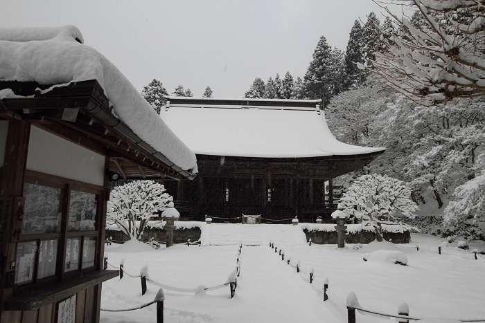 大原雪景色 －三千院（前編）－_b0169330_0135569.jpg