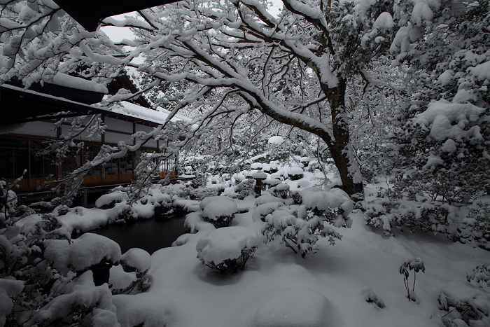 大原雪景色 －三千院（前編）－_b0169330_7582025.jpg