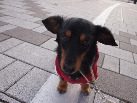 c0117831_2147914.jpg