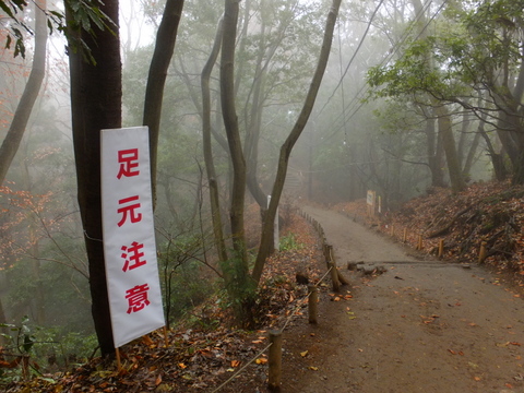 b0281732_1784462.jpg
