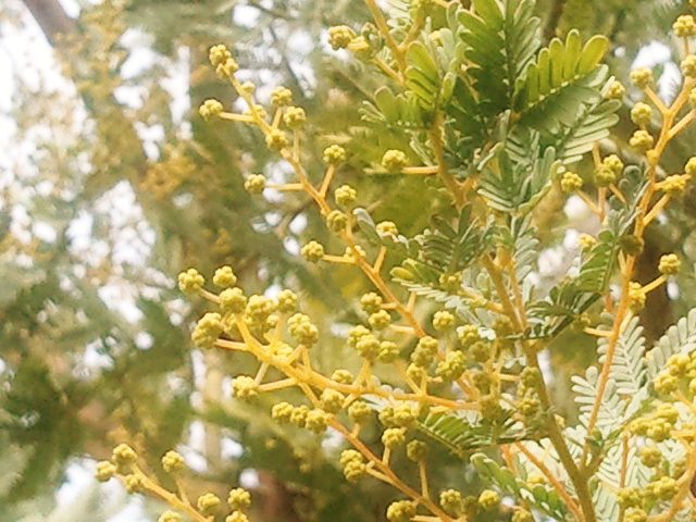 c0195134_16105327.jpg