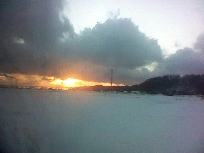 d0092235_2071532.jpg