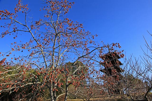 a0242438_2017391.jpg