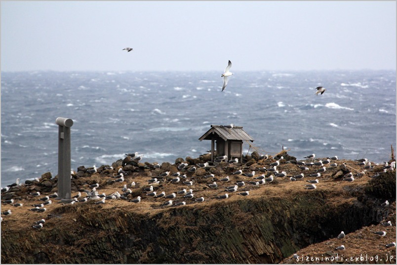 日本海_f0147858_17353338.jpg