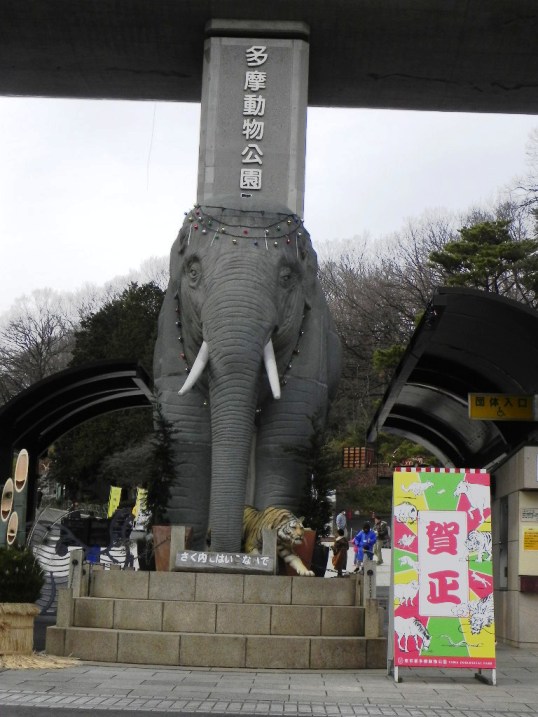 多摩動物公園（250106）_d0048366_12332031.jpg