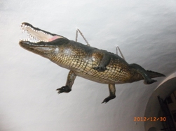 e0195766_22254410.jpg