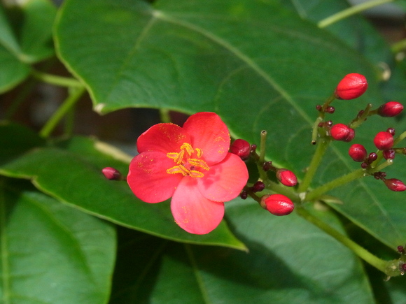 b0194267_1565683.jpg