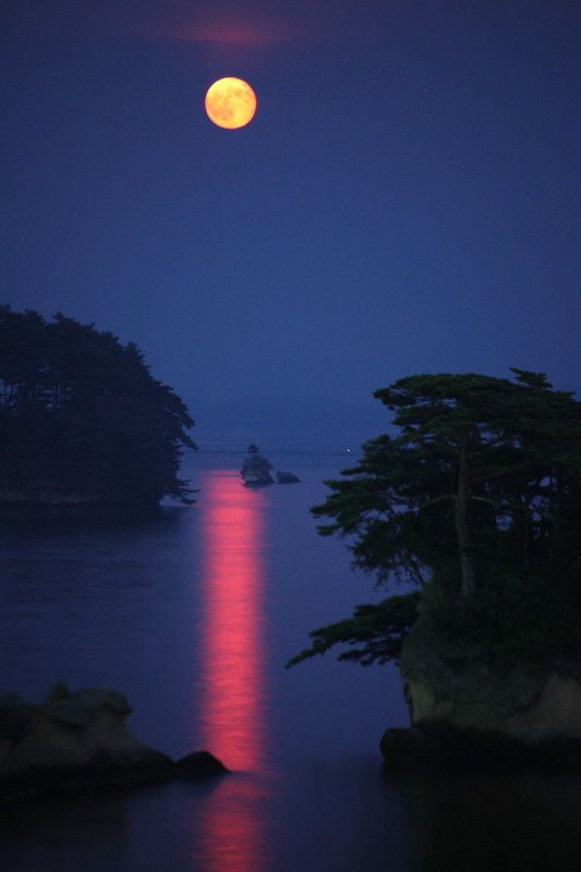 赤い月光_b0191074_22542623.jpg