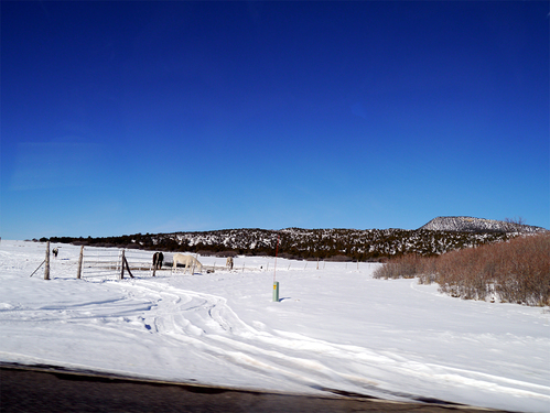 Bryce Canyon は寒かった・・・・。_c0022376_1544528.jpg