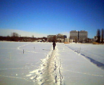 f0078286_1039617.jpg