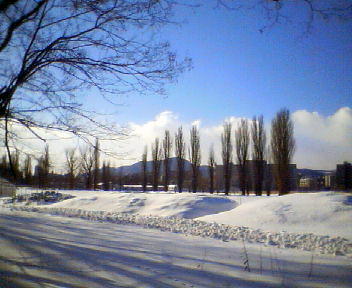 f0078286_1041274.jpg